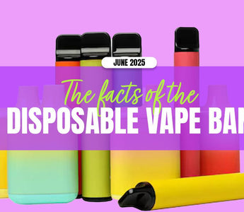 Disposable Vape Ban | June 2025 Confirmed - Prime Vapes UK