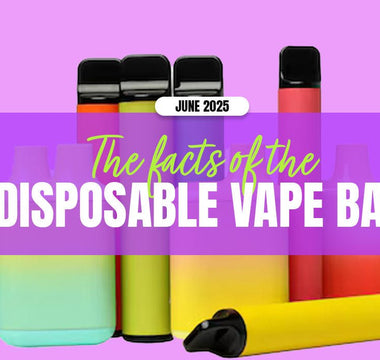 Disposable Vape Ban | June 2025 Confirmed - Prime Vapes UK